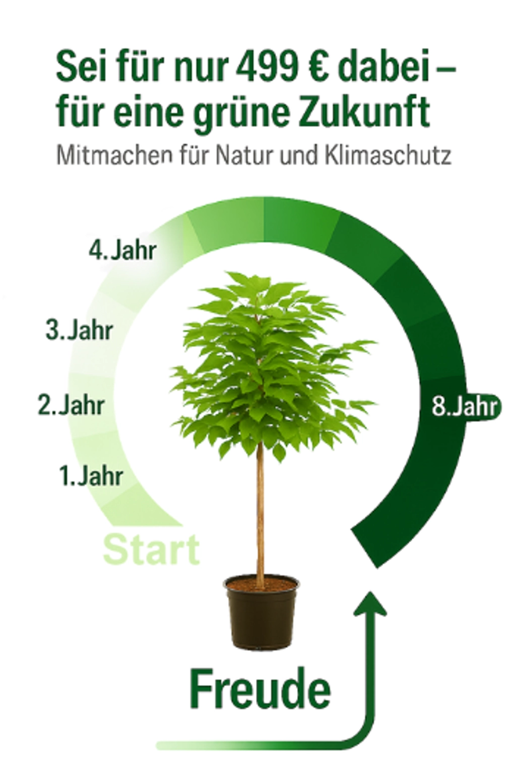 Paulownia – Schnelles Wachstum und hohen Ertrag!